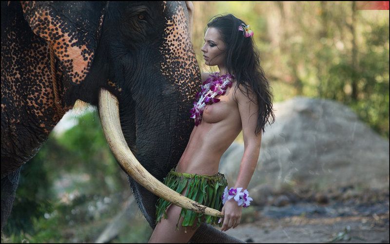 lucas, lucastudio, nude TANGO ELEPHANT © фото превью