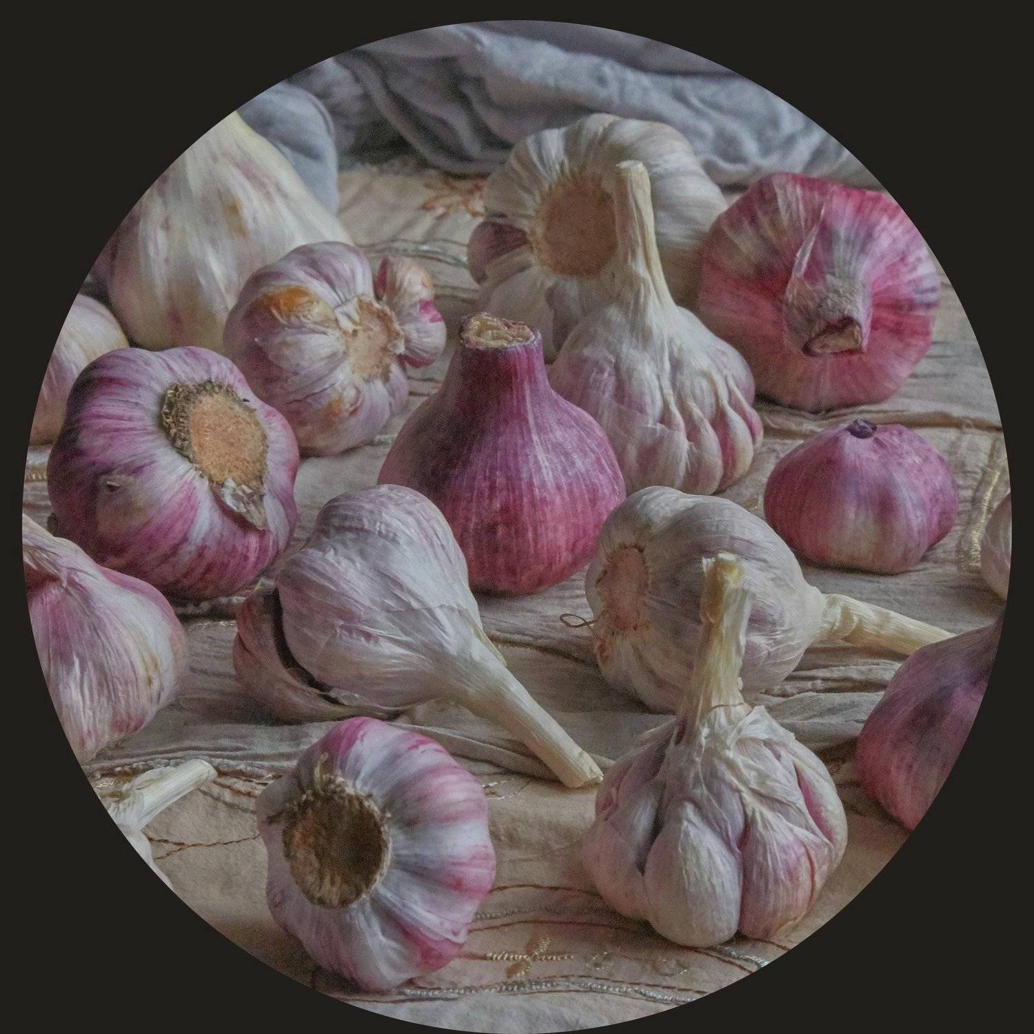 , Козлов Пётр