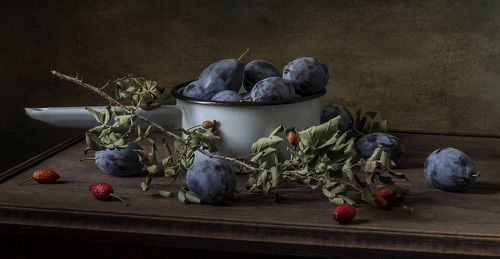 Чернослив и шиповник