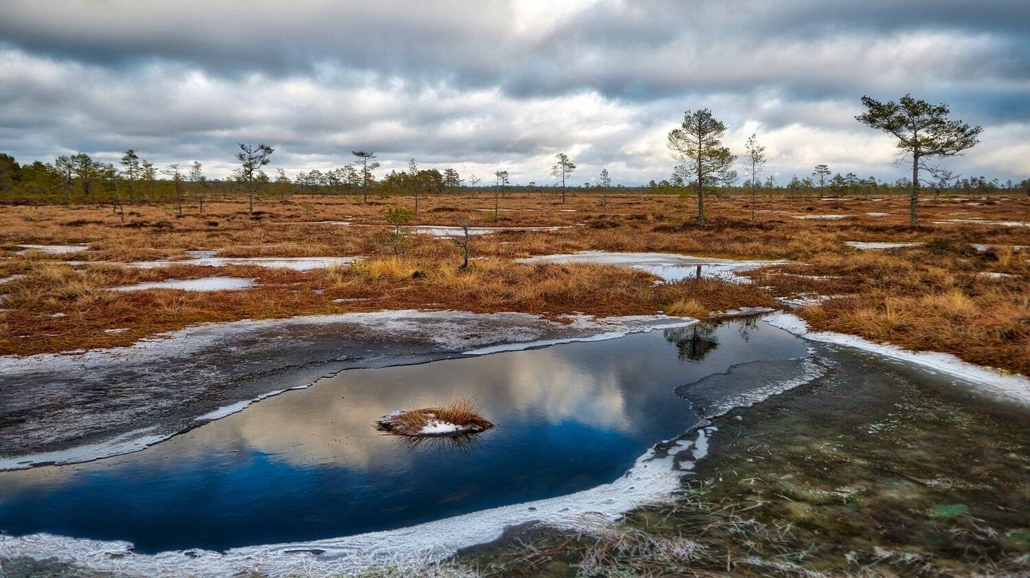 , Эдуард Горобец