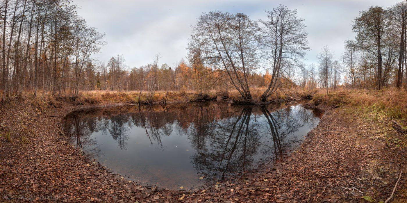 , Хохряков Николай