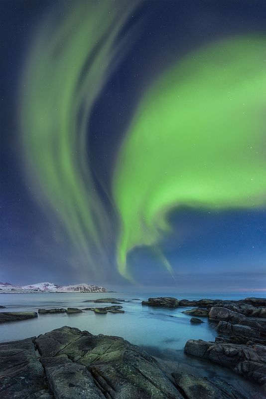 aurora, Norway, beach, night, sky, stars, sea, Aurora фото превью