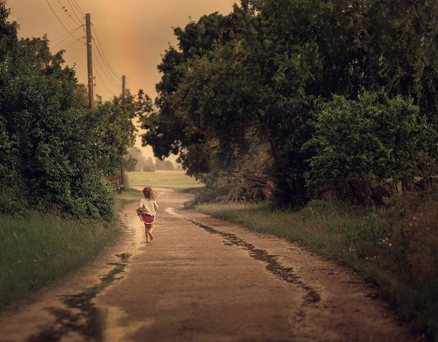 , Дарья Степанова