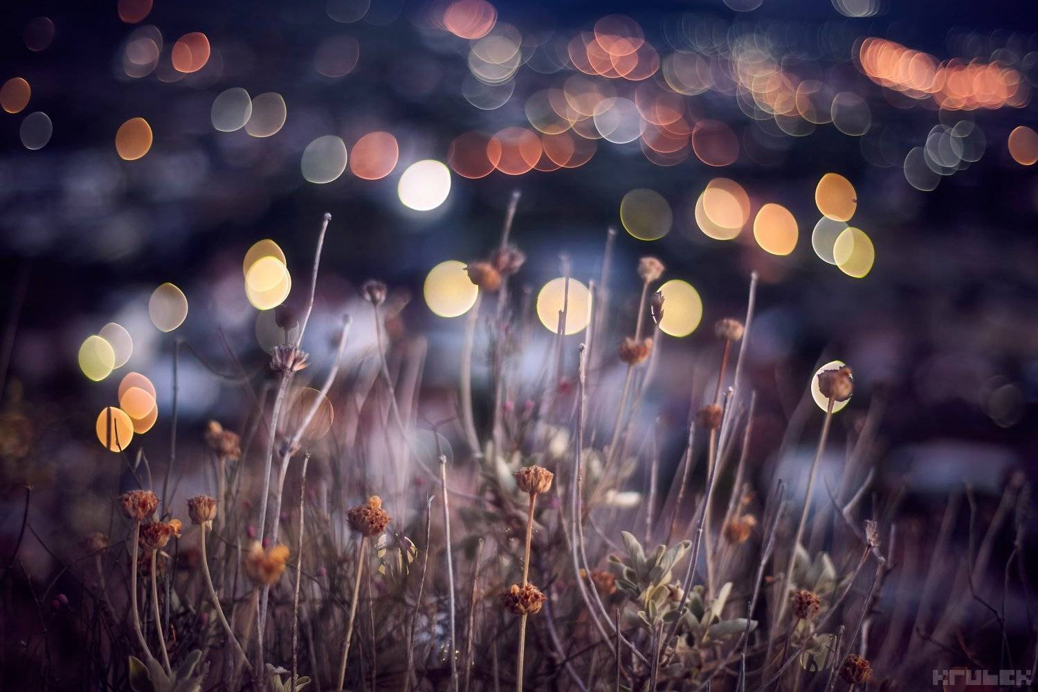 черногория, старый бар, боке, KrubeK