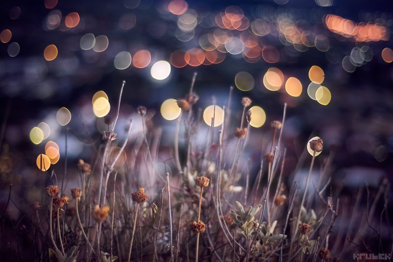 черногория, старый бар, боке Волшебные огни города Старый Бар фото превью