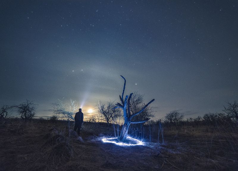 В заброшенном саду фото превью