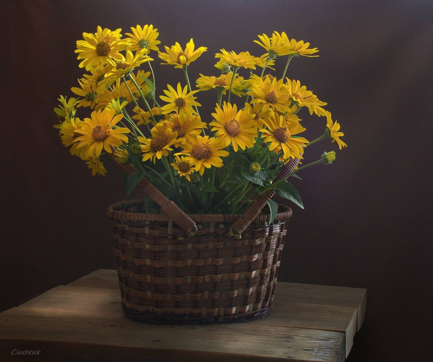 натюрморт,букет,корзина,свет,лето, Инаида