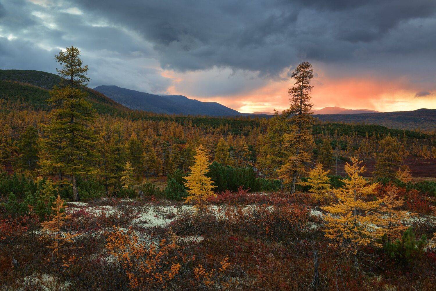 , Максим Евдокимов (phototourtravel.ru)