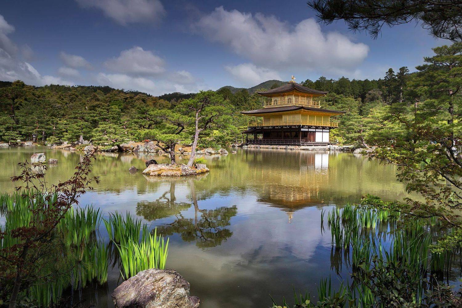 , Александър Сандев