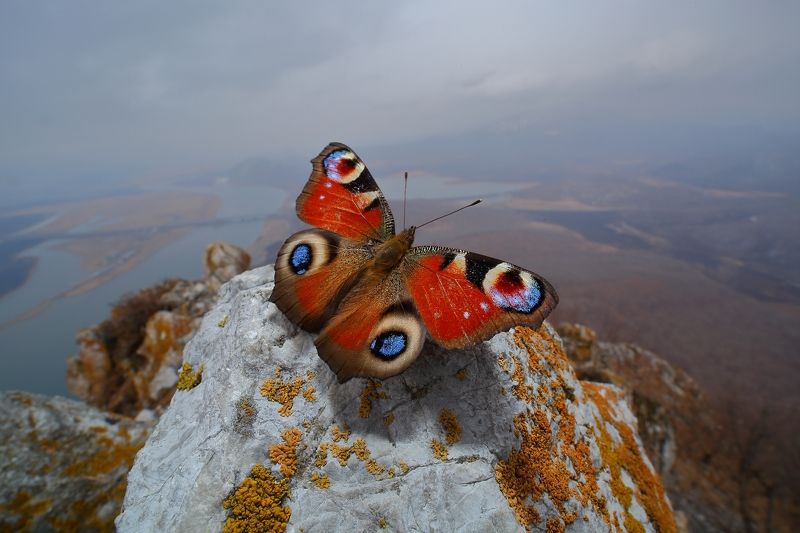 На крыше мира фото превью