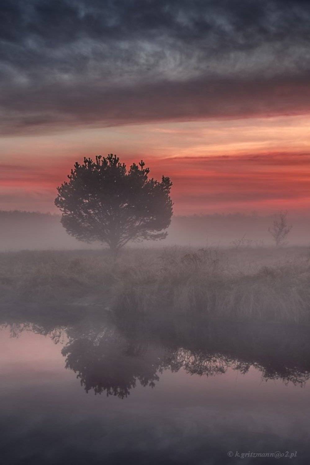 , Katarzyna Gritzmann