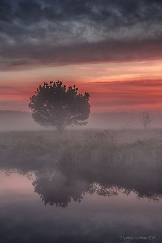 ... фото превью