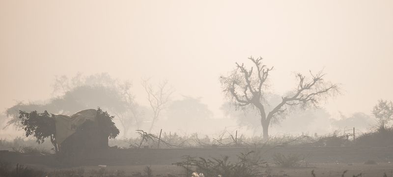утренний туман фото превью