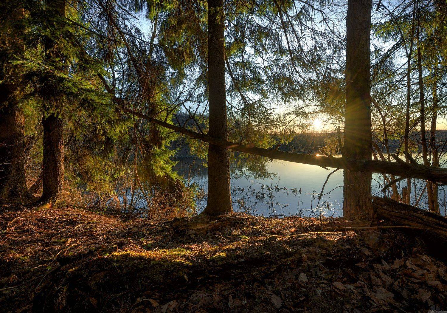 #пейзаж #весна #подмосковье #чехов #красиво #природа #восход #утро , Морозов Юрий