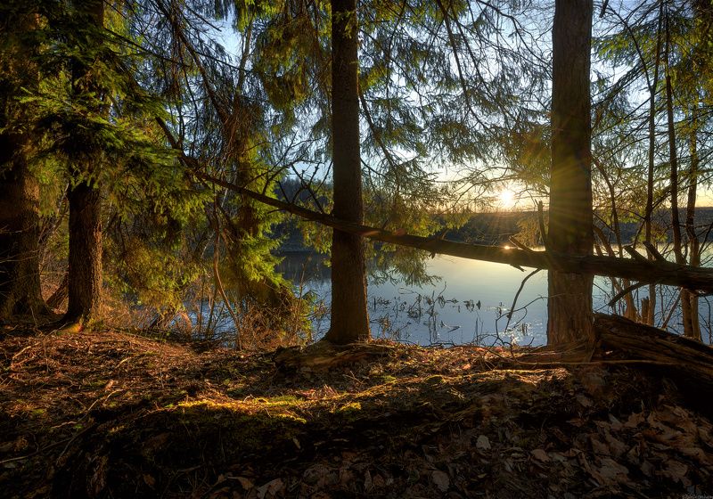 #пейзаж #весна #подмосковье #чехов #красиво #природа #восход #утро  / Подмосковные дебри / фото превью