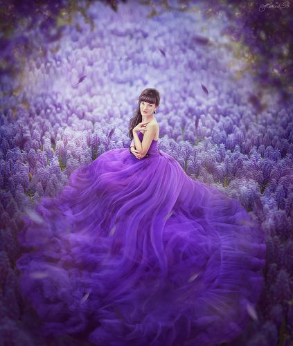 Fairy art / Purple tenderness