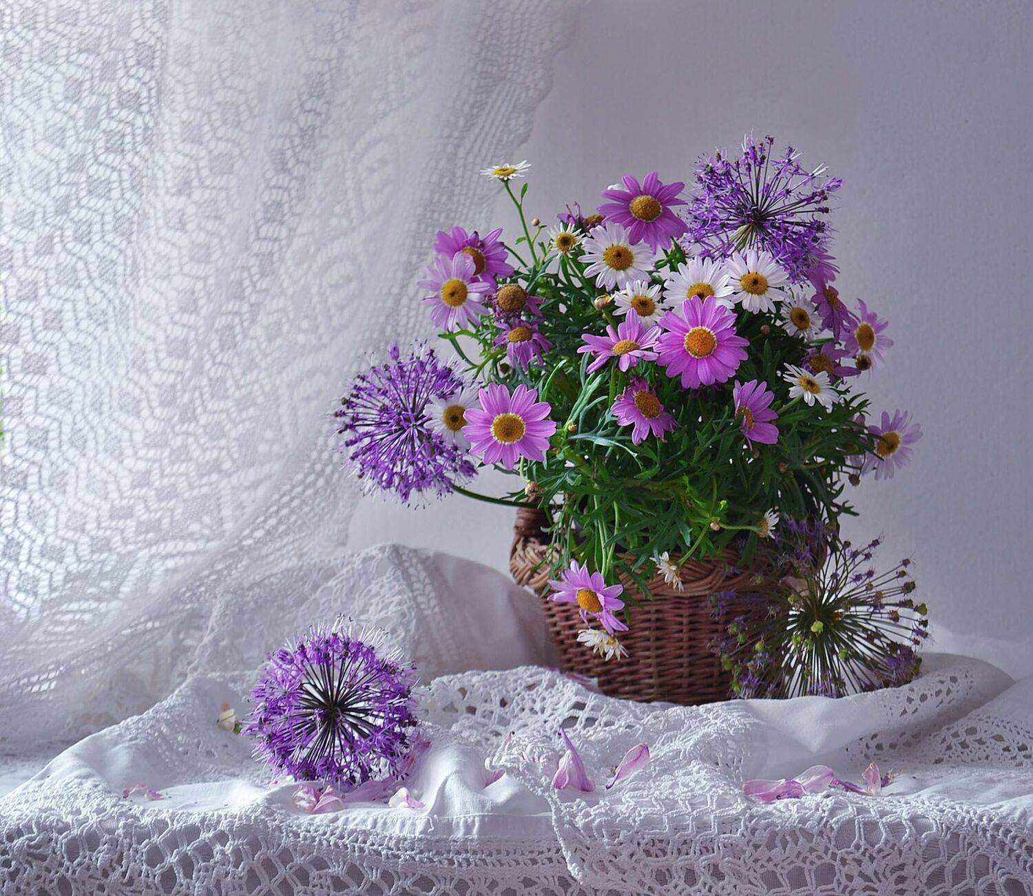 still life,натюрморт, июнь, июньский букет, ромашки, фото натюрморт, цветы, Колова Валентина