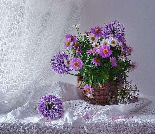 Разноцветный июнь...