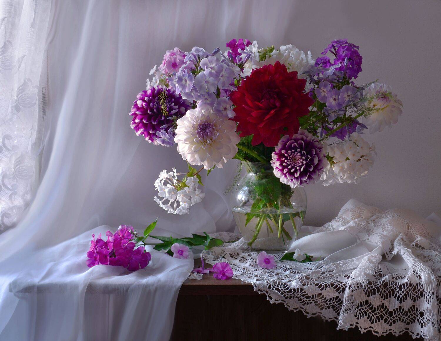 still life,натюрморт,  георгины, рассвет, лето, флоксы, фото натюрморт, цветы, Колова Валентина