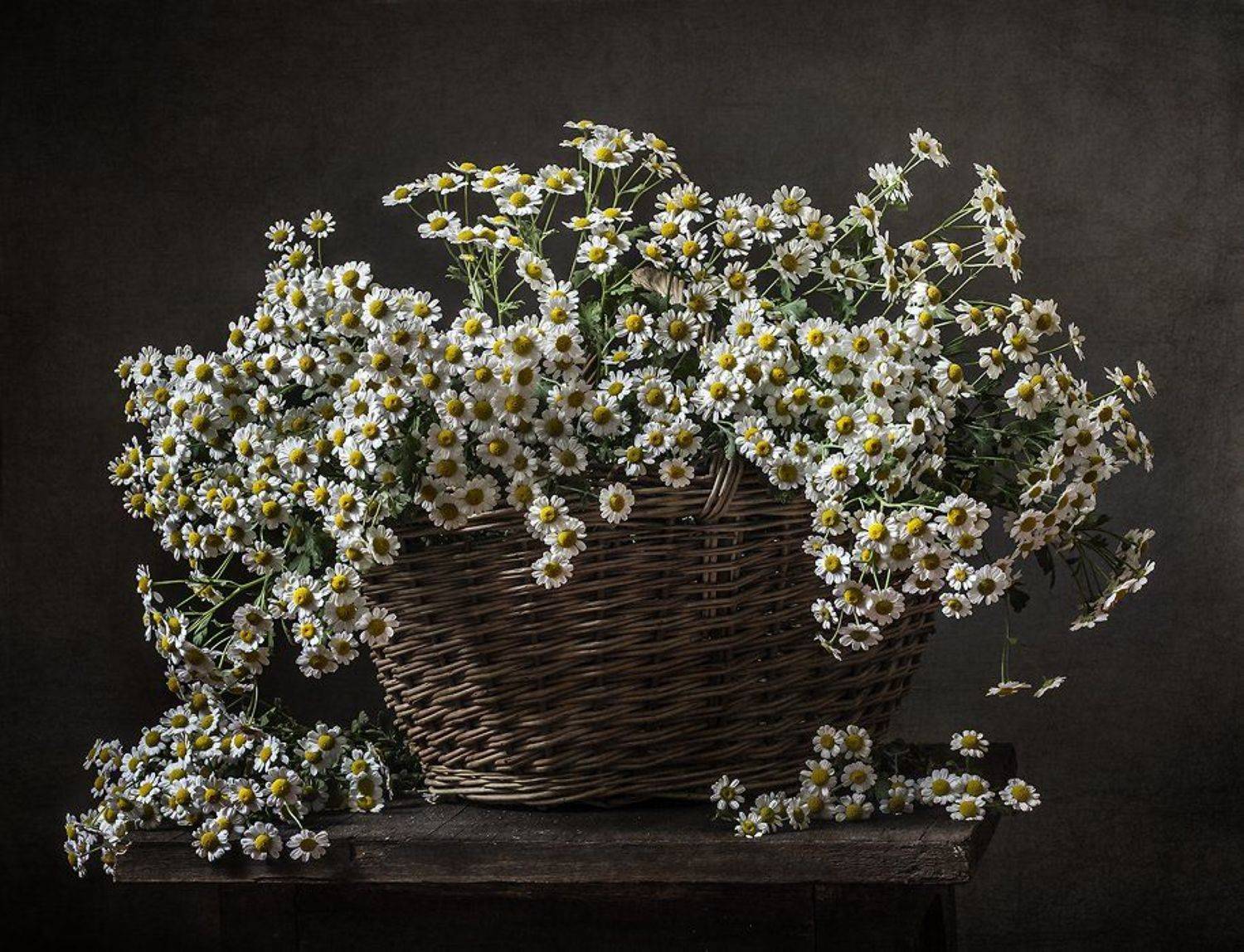 натюрморт, цветы, still life, Оля