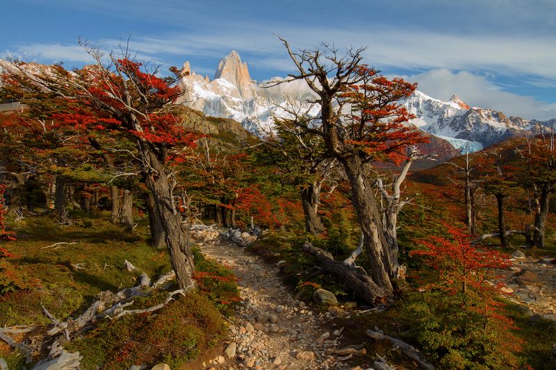 fitz roy patagonia Осень в Фитц Рой. фото превью