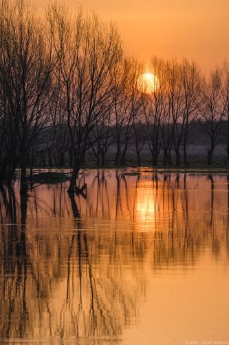 Апрельское утреннее солнце