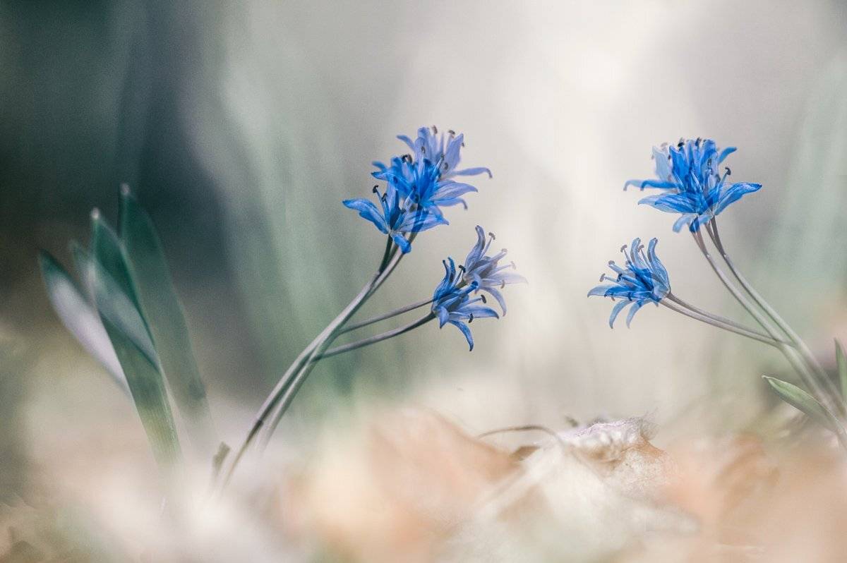 , Татьяна Аверина