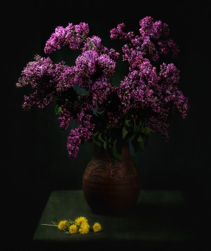 сирень *** фото превью