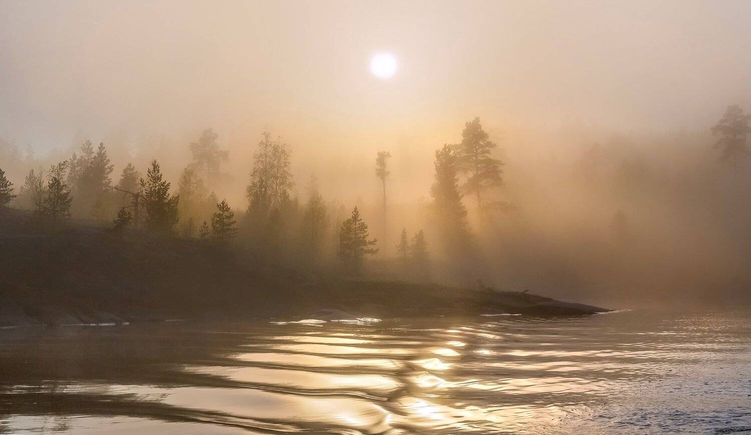ладожское озеро, карелия, шхеры, лето, скалы, берег, фототур, остров, путешествие, плавание, вода, туман, сосны, солнце,, Лашков Фёдор