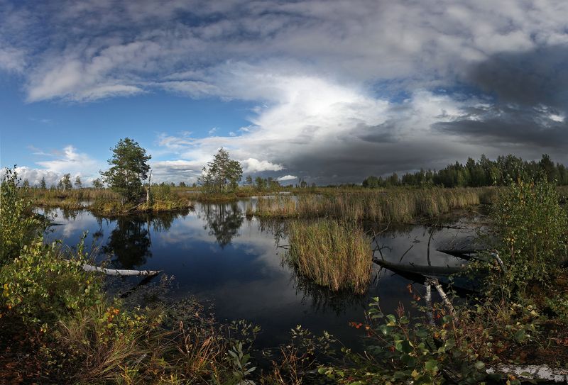 ... фото превью