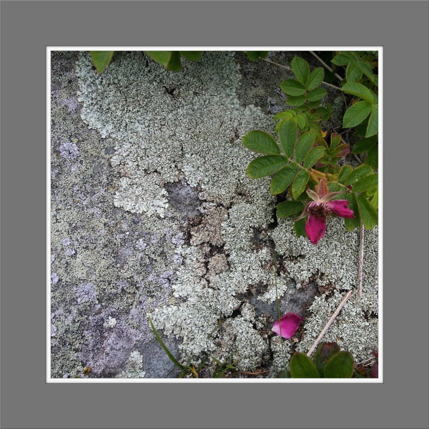 , Александр Бурдин