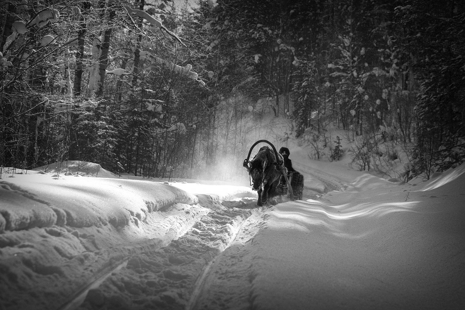 , Рашид Усманов