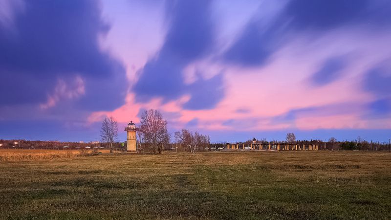 Птичья гавань! фото превью