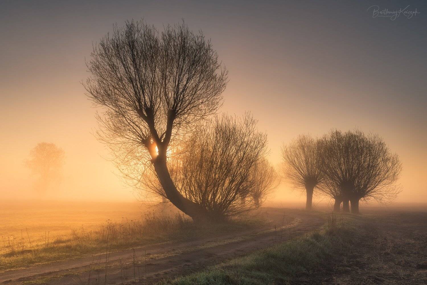 , Bartłomiej Kończak