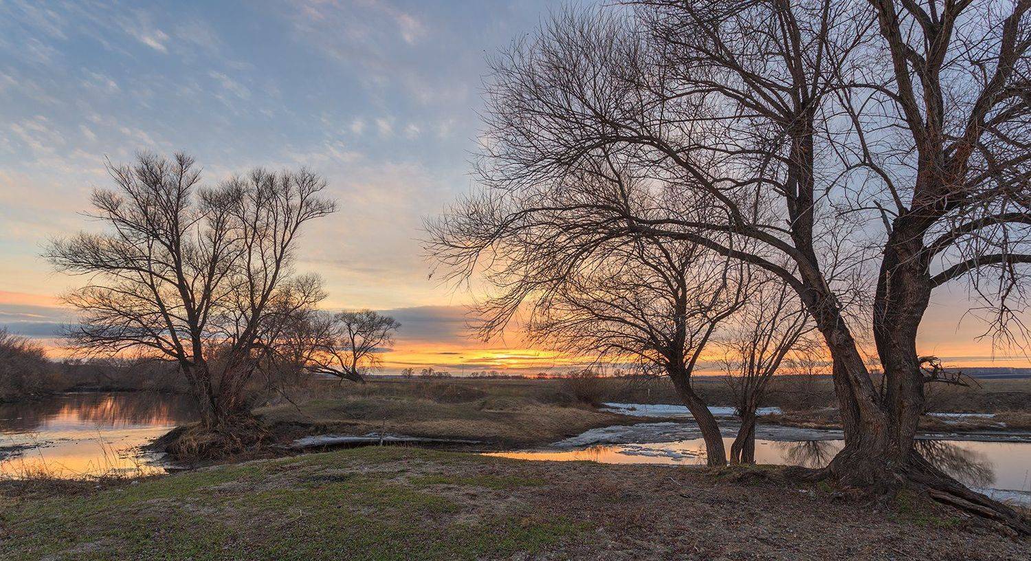 , Виктор Новокрещенов
