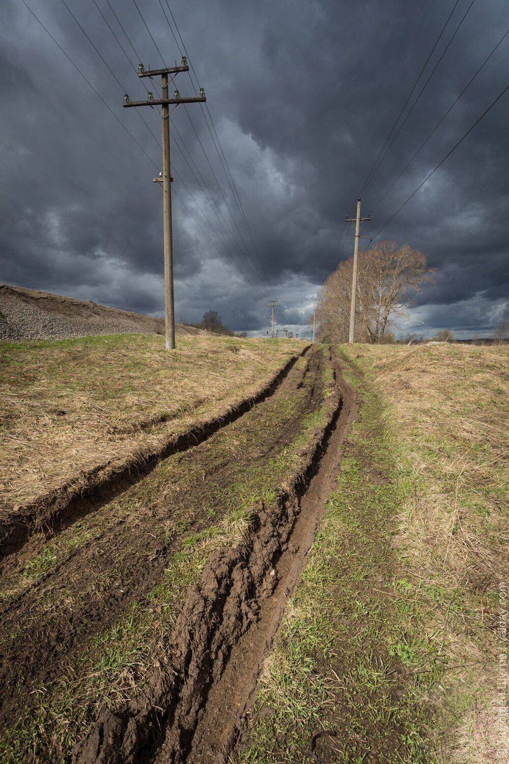 , Тимофей Шутов