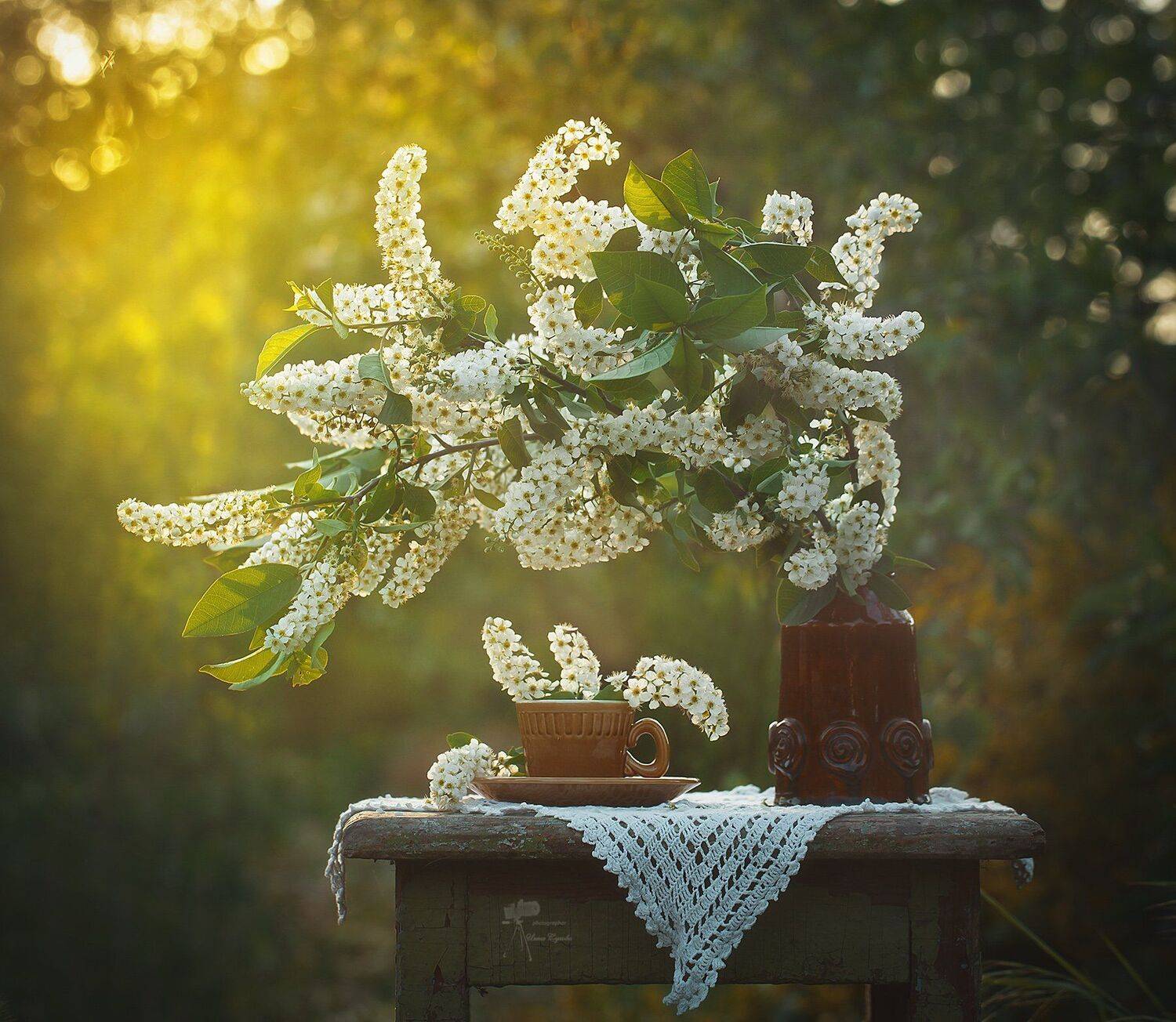 , Инна Сухова