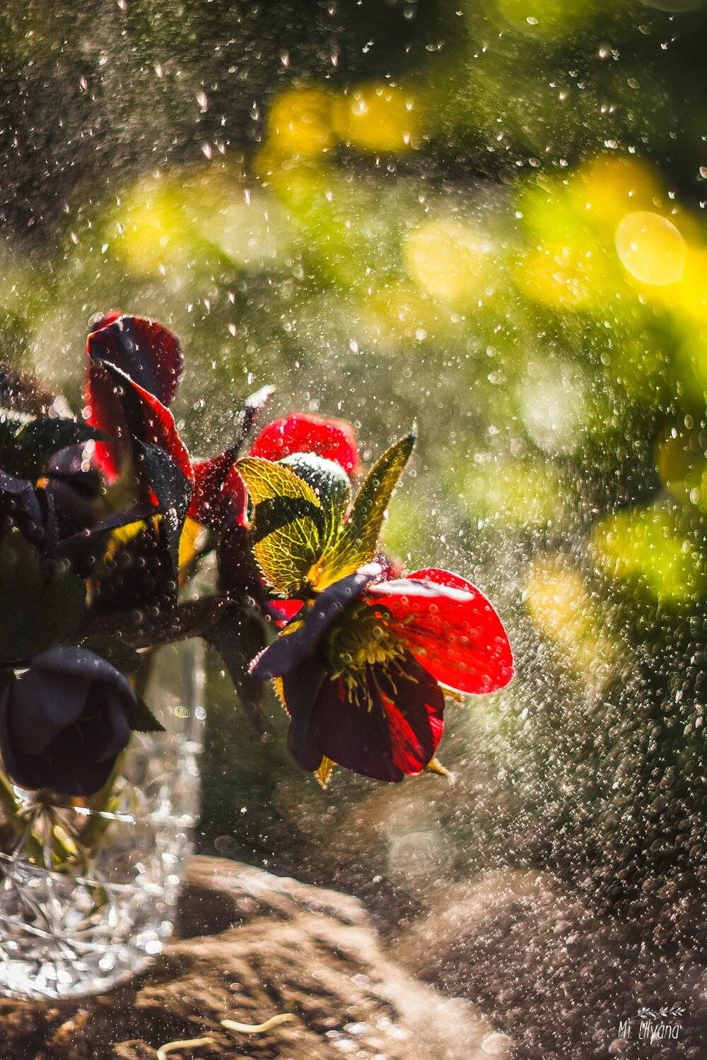 , Ульяна Буканова (Мизинова)