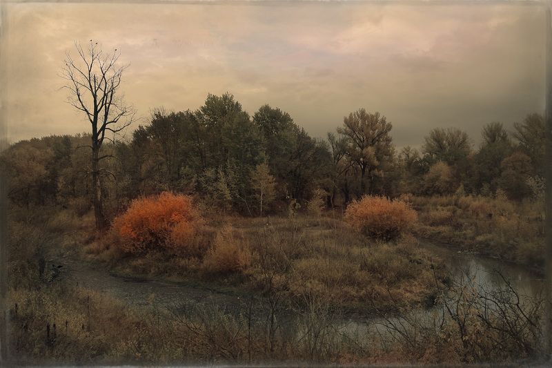 * фото превью
