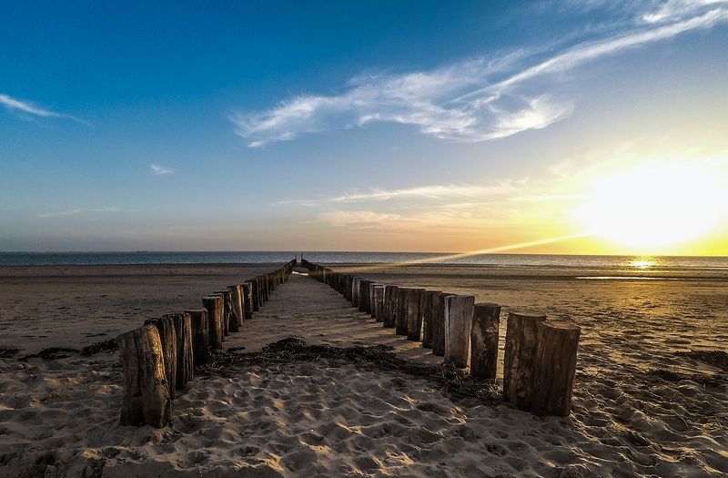 One way out фото превью