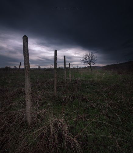 Останки | Vineyards remains