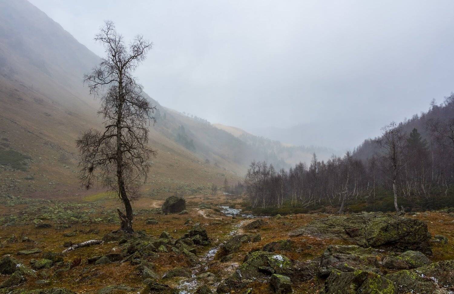 туман, горы, Эстелла