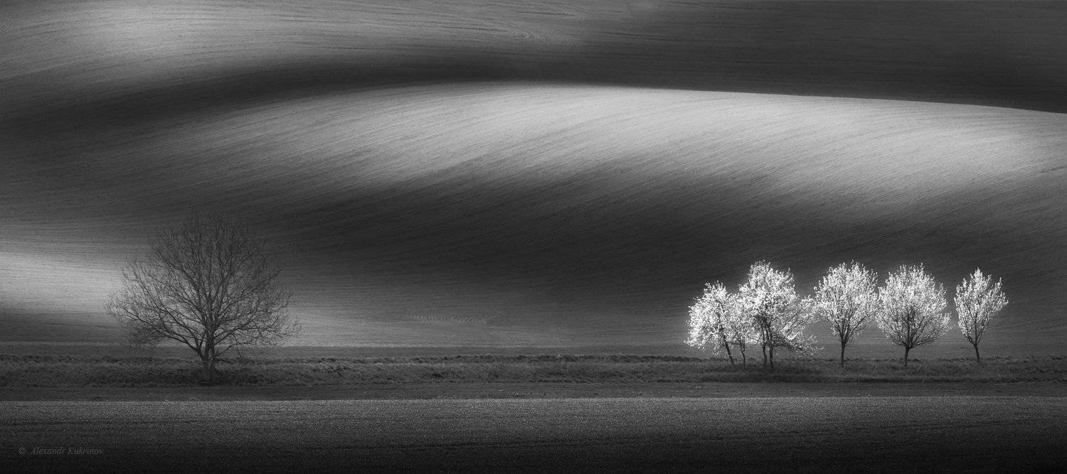 весна, пейзаж, моравия, путешествия, туризм, Александр Кукринов