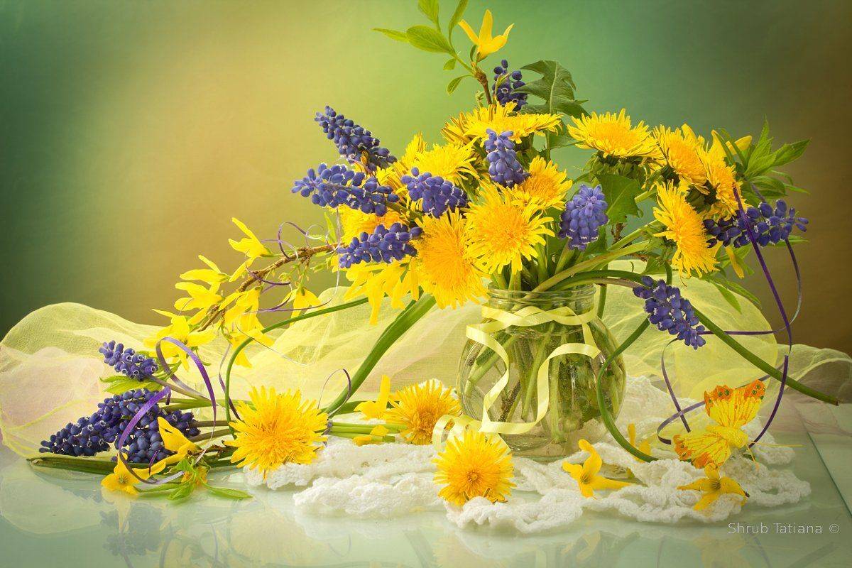 натюрморт, цветы, одуванчики, мускари, Шруб (Беляева) Татьяна