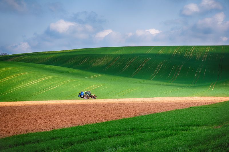 *** фото превью