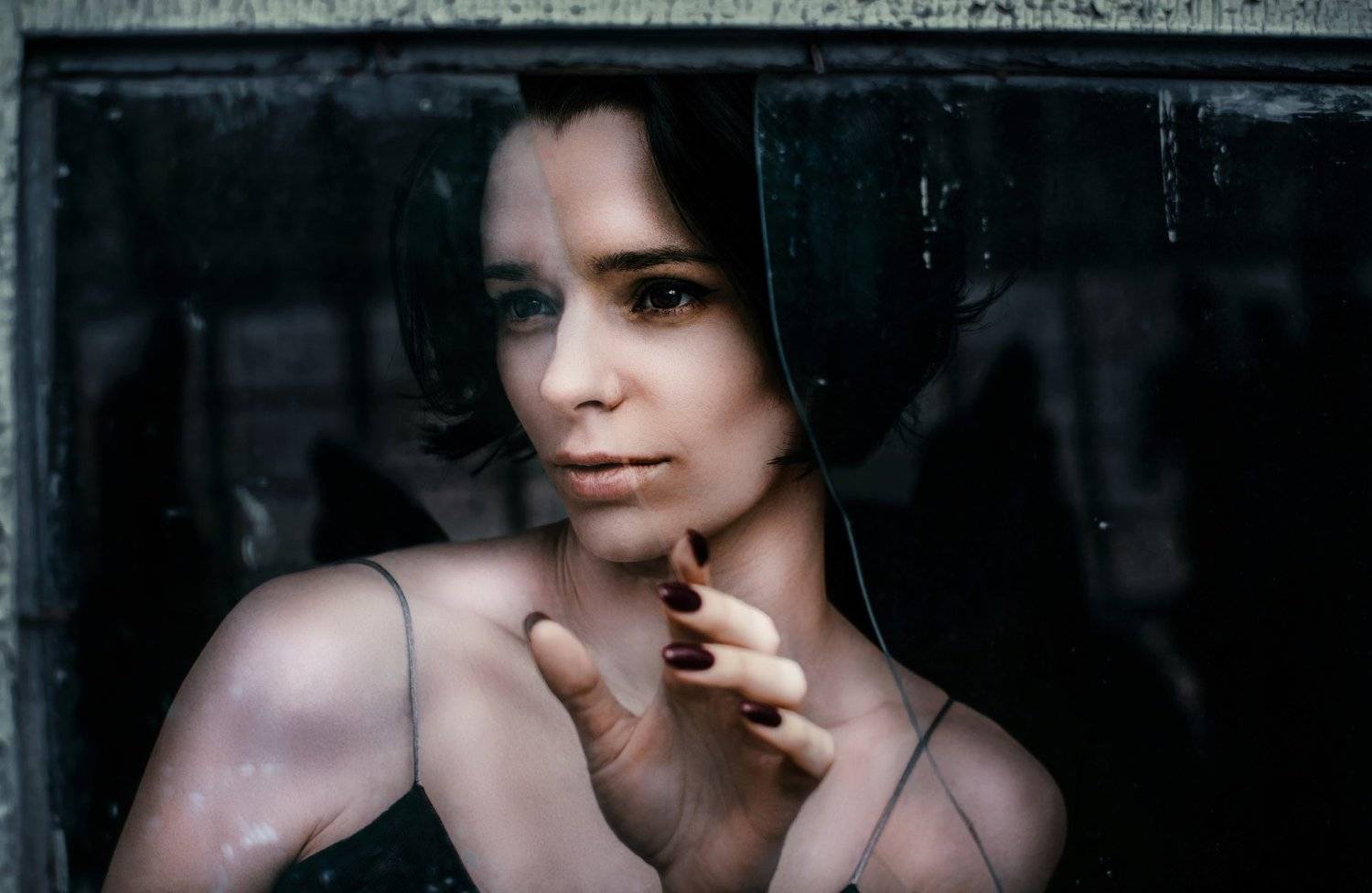 , Виталий Шевченко