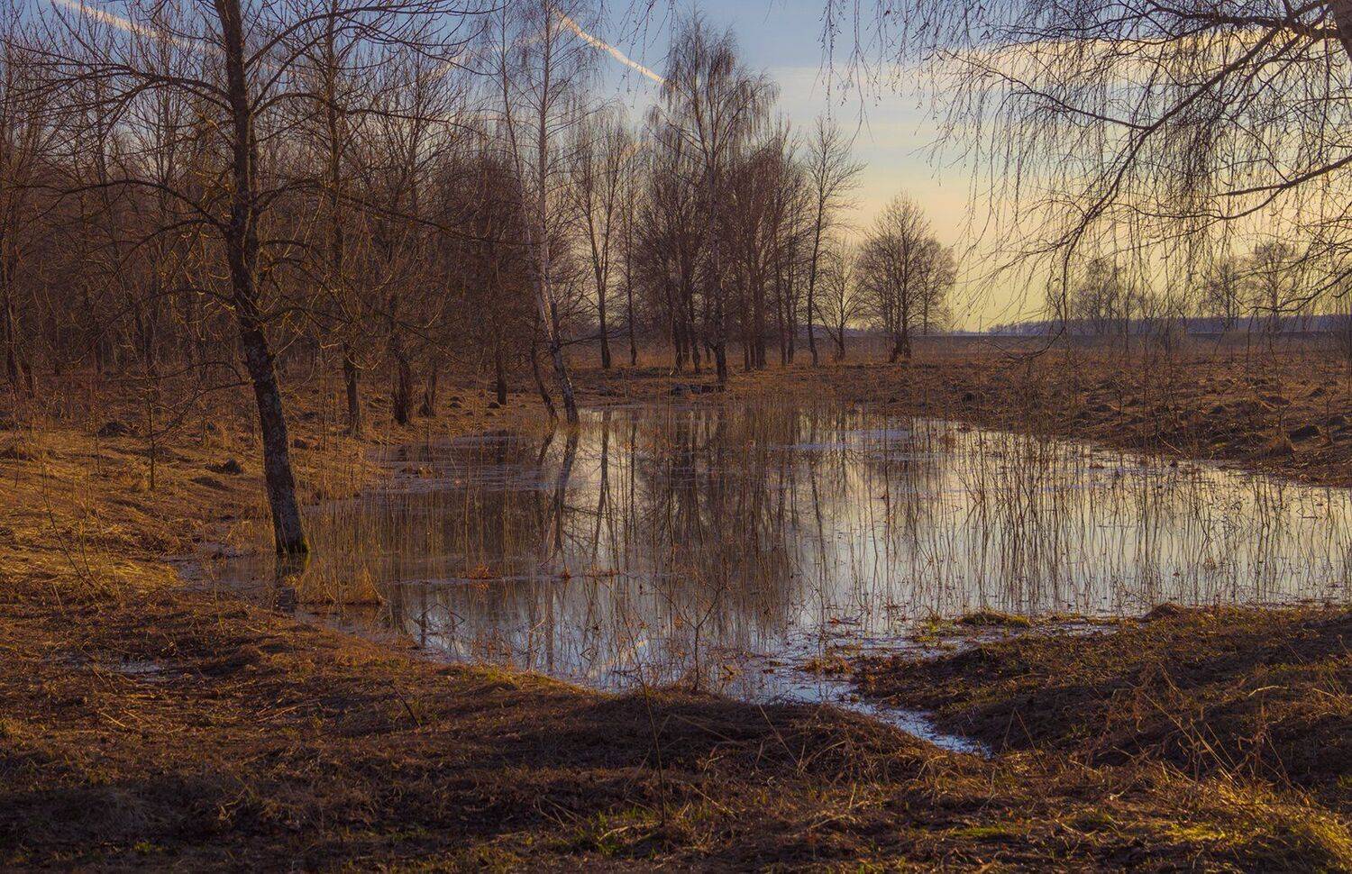 пейзаж,природа,весна, Елена Рубинская