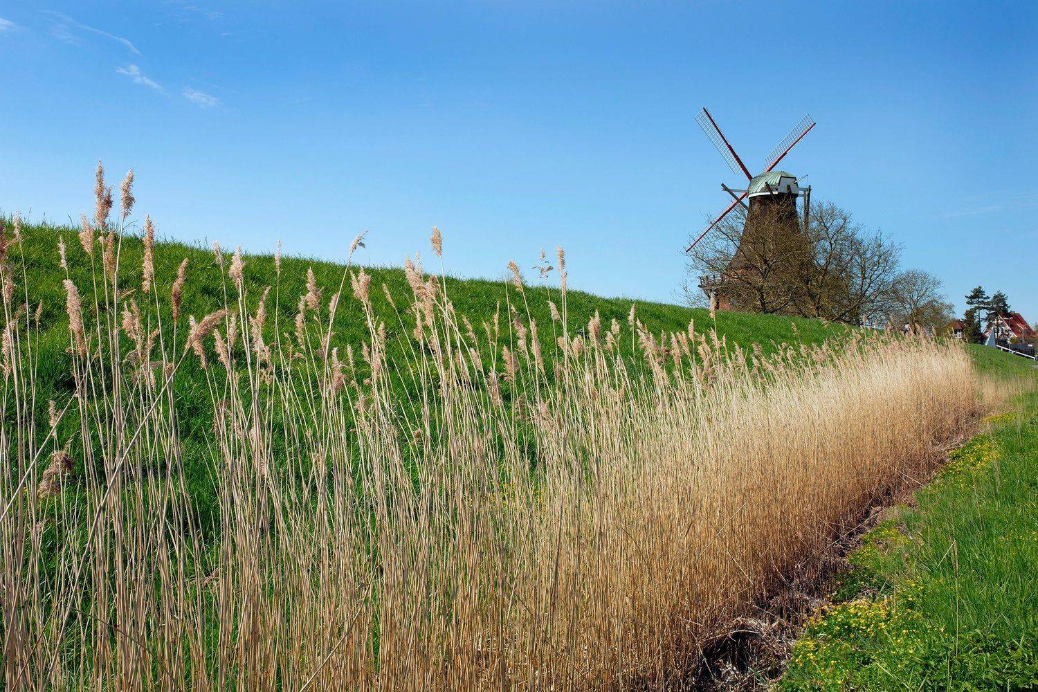 , Игорь Дубровский