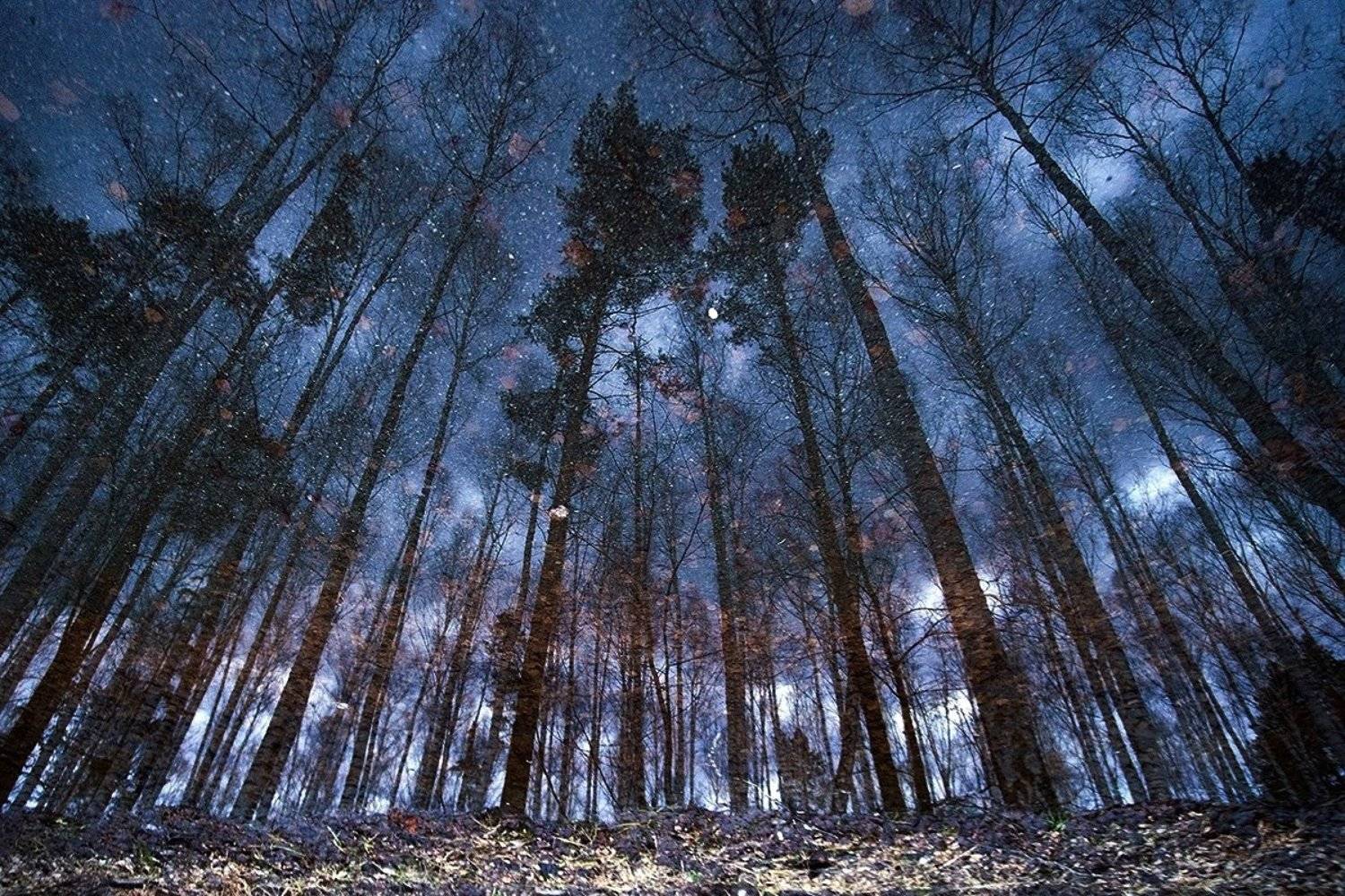 , Владимир Письмак