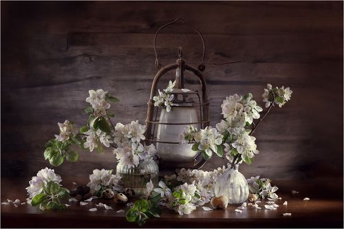 Цветы нового дня...